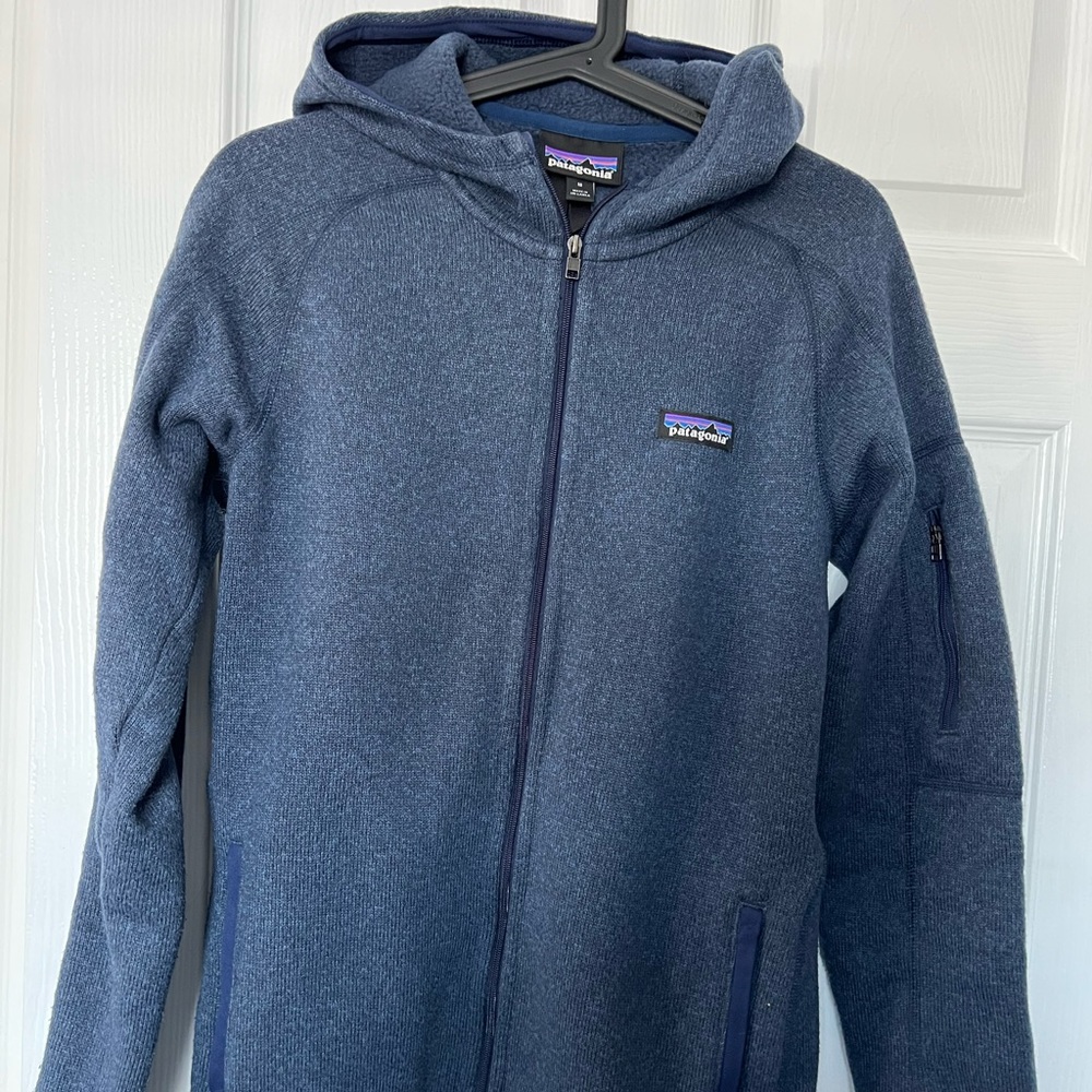 Patagonia Better Sweater Hoodie